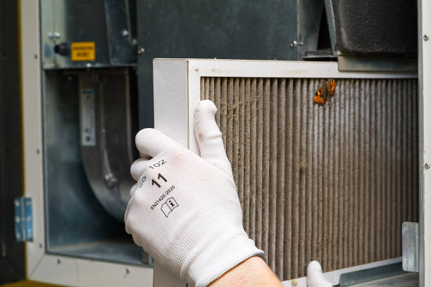 Best HVAC System Cleaning  in Altavista, VA